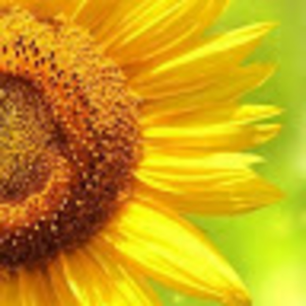 Meet your Posher, Audriana